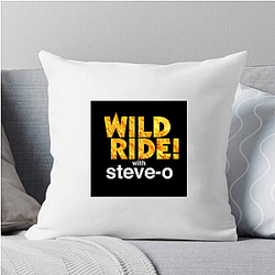 Audio Journey Steve Os Wild Ride Pillows Cover