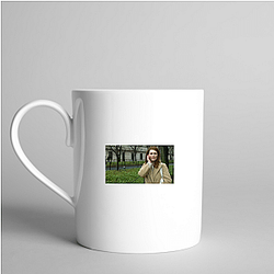 Still Alice is based on a novel Still Alice Mugs