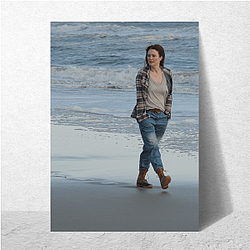 Still Alice earned Julianne an Oscar Still Alice Posters