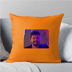 Stimpee Limited Collection Stimpee Pillows Cover