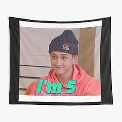Stray Kids - I’m Five Bang Chan Meme Tapestry