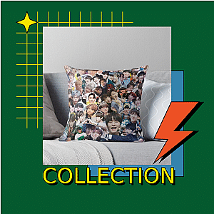 Stray Pillows Cover