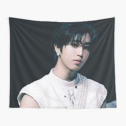 Stray Kids Han Giant Tapestry