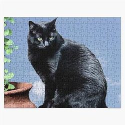 Suki in the Sky Puzzle