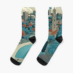 Syracuse New York Vintage Poster - Central NY Cityscape Socks