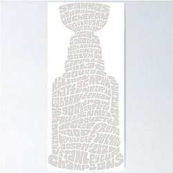Lightning Tampa Bay Champions Poster
