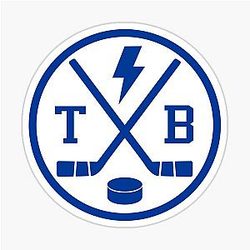 Retro Tampa Bay Hockey Emblem Vintage Sticker
