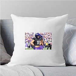 TCU Horned Frogs Signature Tcu Horned Frogs Pillows Cover