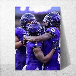 TCU Horned Frogs Fan Art Tcu Horned Frogs Posters