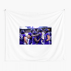 TCU Horned Frogs Fan Art Tcu Horned Frogs Tapestries