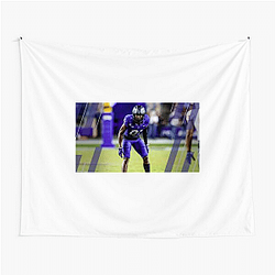 TCU Horned Frogs Merchandise Tcu Horned Frogs Tapestries