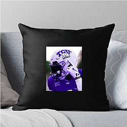 TCU Horned Frogs Limited Collection Tcu Horned Frogs Pillows Cover