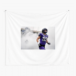 TCU Horned Frogs Special Collection Tcu Horned Frogs Tapestries