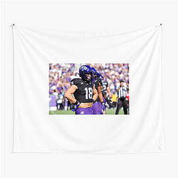 TCU Horned Frogs Signature Tcu Horned Frogs Tapestries
