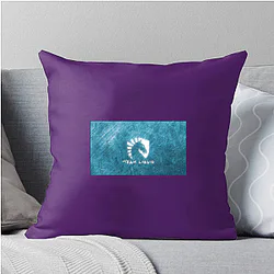 Team Liquid started with StarCraft Team Liquid Pillows Cover