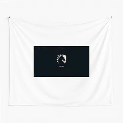 Team Liquid has a Valorant division Team Liquid Tapestries