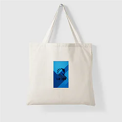 Team Liquid won Dota 2 International Team Liquid Bags