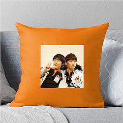 Team Liquid founded in Netherlands 2000 Team Liquid Pillows Cover