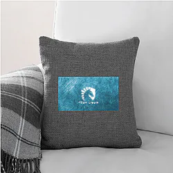 Team Liquid started with StarCraft Team Liquid Pillows Cover