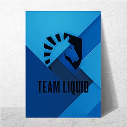 Team Liquid won Dota 2 International Team Liquid Posters