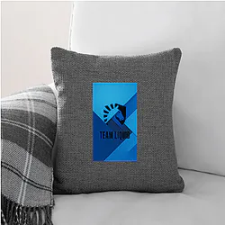 Team Liquid won Dota 2 International Team Liquid Pillows Cover