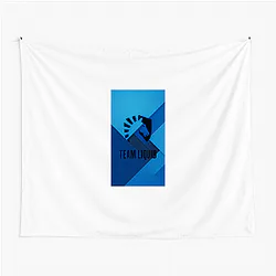 Team Liquid won Dota 2 International Team Liquid Tapestries