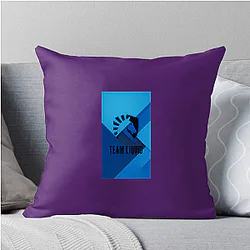 Team Liquid won Dota 2 International Team Liquid Pillows Cover