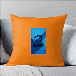 Team Liquid won Dota 2 International Team Liquid Pillows Cover