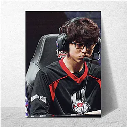 Team Liquid is a massive organization Team Liquid Posters