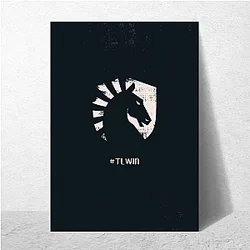 Team Liquid has a Valorant division Team Liquid Posters