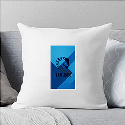 Team Liquid won Dota 2 International Team Liquid Pillows Cover