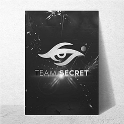 Team Secret is a European org Team Secret Posters