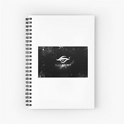 Team Secret is a European org Team Secret Notebook