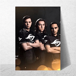Team Secret had a League of Legends team Team Secret Posters
