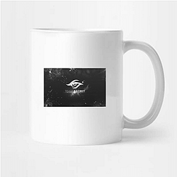 Team Secret is a European org Team Secret Mugs