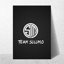 Team Solomid competed in Rainbow Six Siege Team Solomid Posters