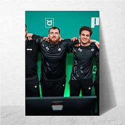 Team Spirit discusses topics like grief and imposter syndrome Team Spirit Posters