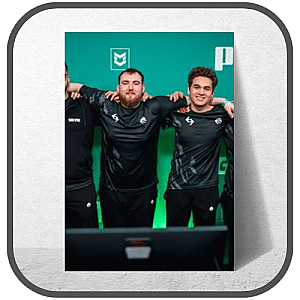 Team Spirit Posters