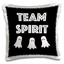16x16 inch Pillow Case - Team Spirit with Three Ghosts. White Lettering on Black Background Typography