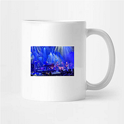 Tedeschi Trucks Band Merchandise For Fans Tedeschi Trucks Band Mugs