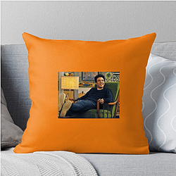 Ted Mosby Merch For Fans Ted Mosby Pillows Cover
