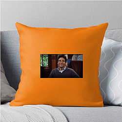 Ted Mosby Merch Ted Mosby Pillows Cover