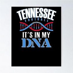 Art Tennessee Titans Poster
