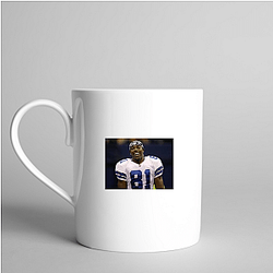 Game Manager Terrell Owens Mugs