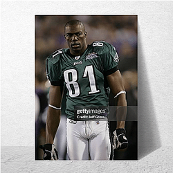 Passing Specialist Terrell Owens Posters