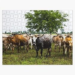 Longhorns at the 1,800-acre Lonesome Pine Ranch, a working cattle ranch that is part of the Texas Ranch Life ranch resort near Chappell, Hill, in Austin County, Texas, Jigsaw Puzzle