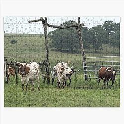 Texas Longhorn Cow Jigsaw Puzzle