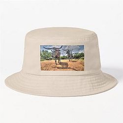 Texas Longhorns Bucket