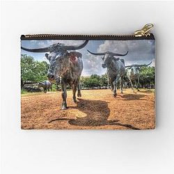 Texas Longhorns Pouch