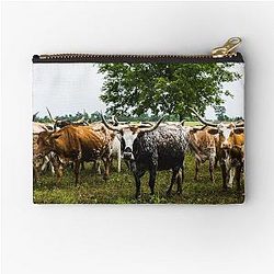 Longhorns at the 1,800-acre Lonesome Pine Ranch a working cattle ranch part of the Texas Ranch Life ranch resort near Chappell Hill in Austin County, Texas